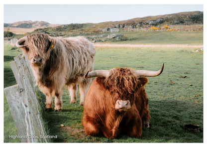 NC500 Postcard Pack